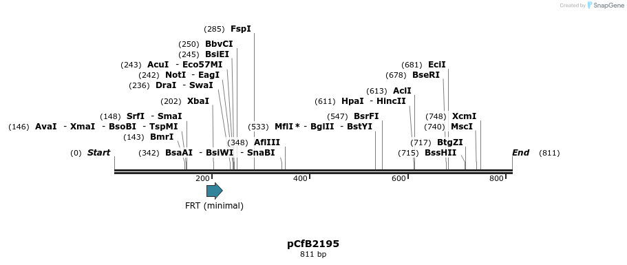 127901_map
