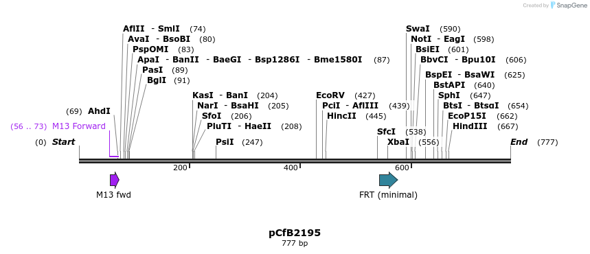 127902_map