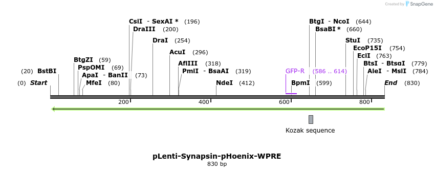 127903_map