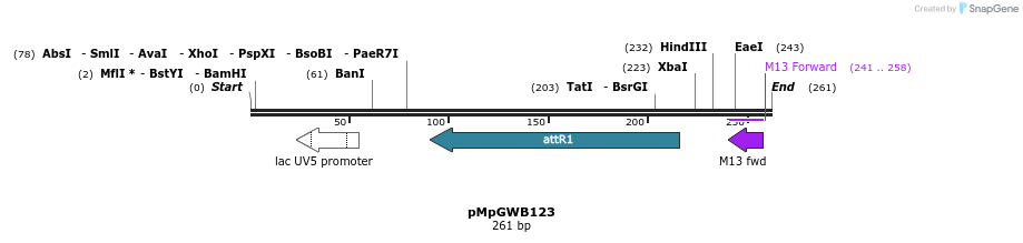 127912_map