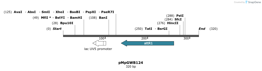 127915_map