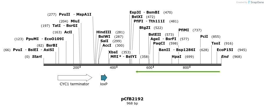 127916_map