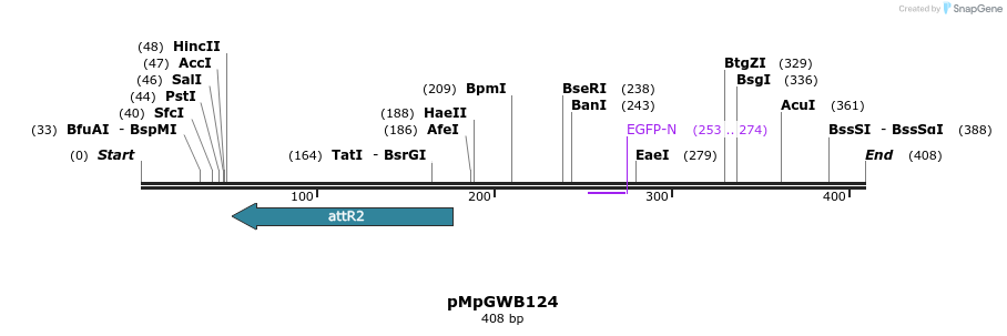 127917_map