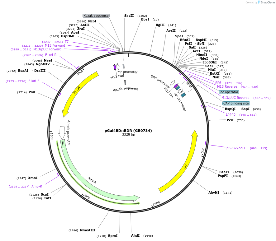127919_map