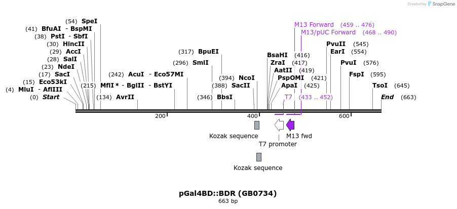 127921_map