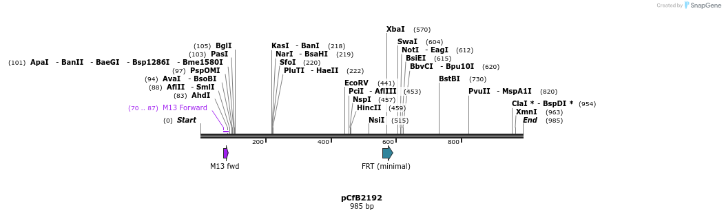 127923_map