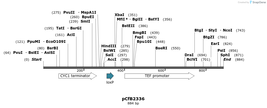127924_map