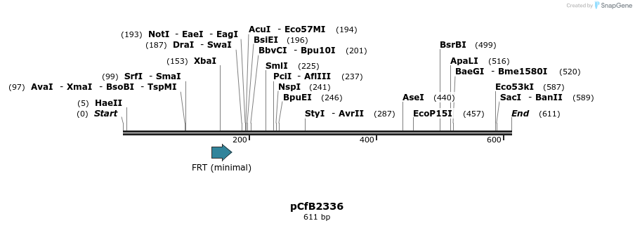 127927_map