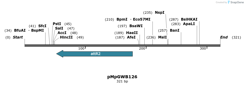 127929_map