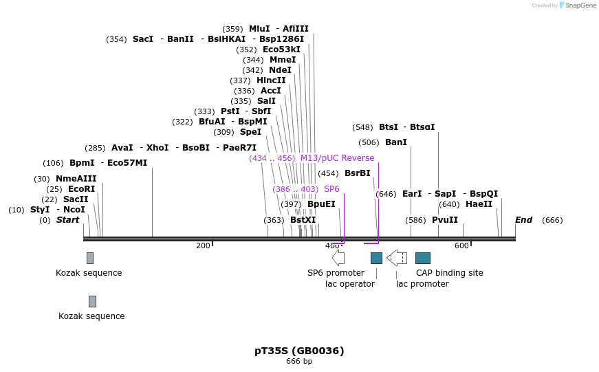127931_map