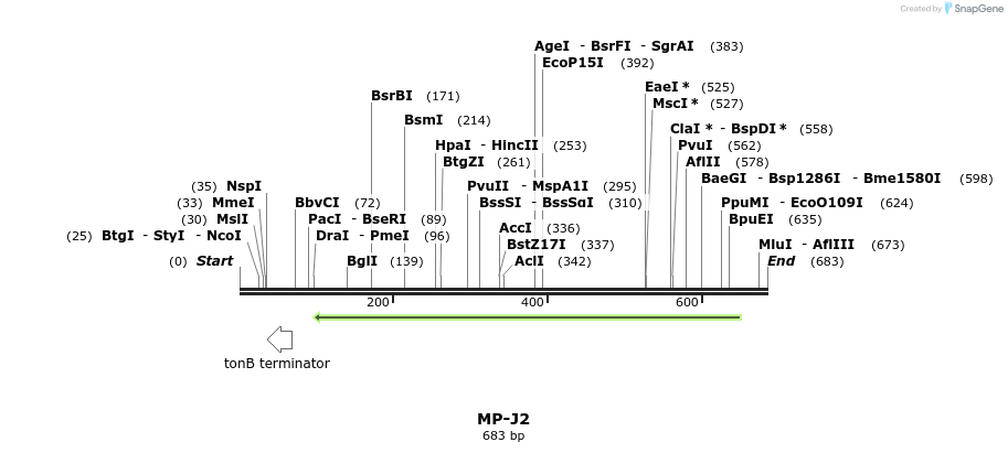 127935_map