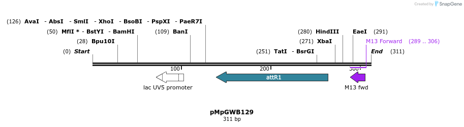 127941_map