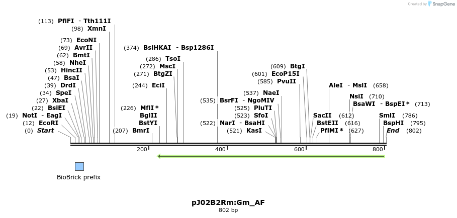 127942_map
