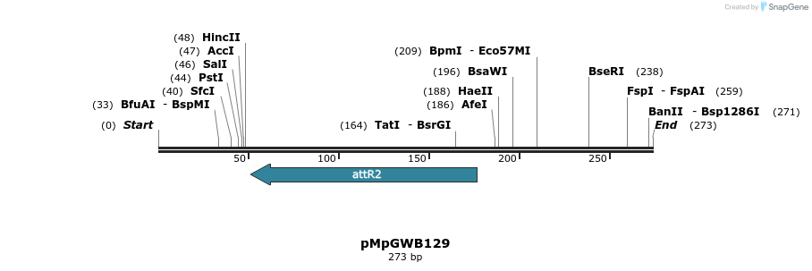 127943_map