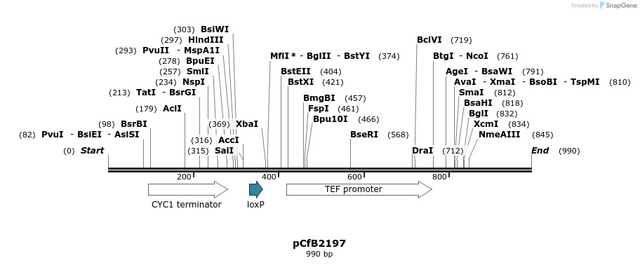 127946_map