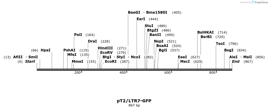 127948_map