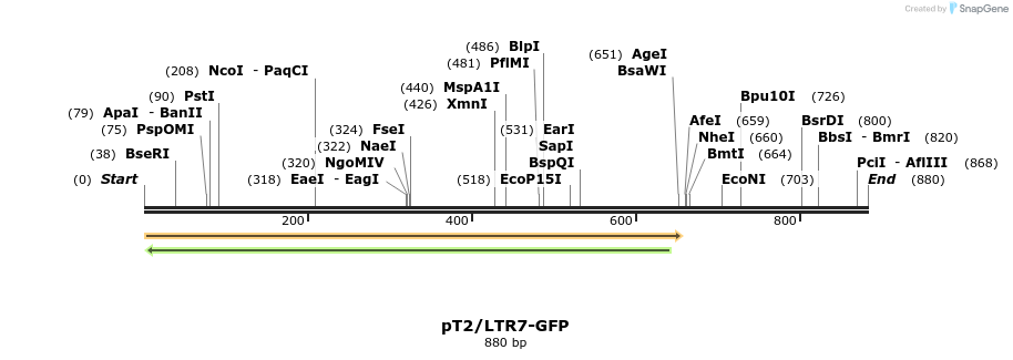 127949_map