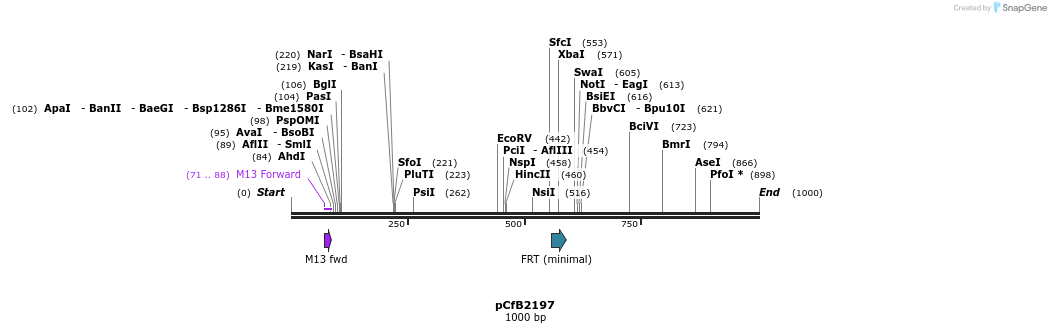 127950_map