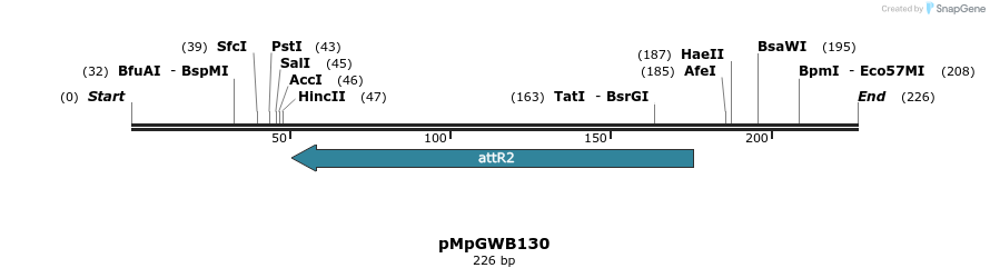 127954_map