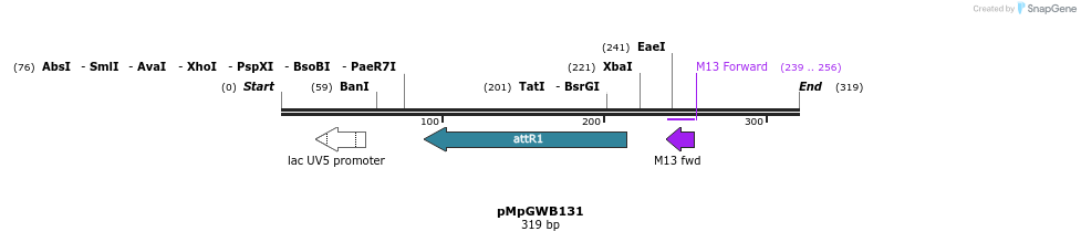127956_map