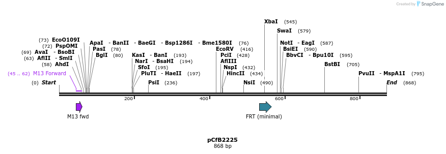 127961_map