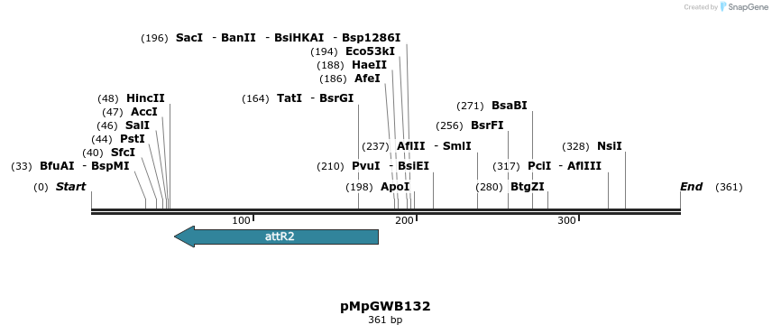 127962_map