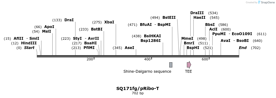 127966_map