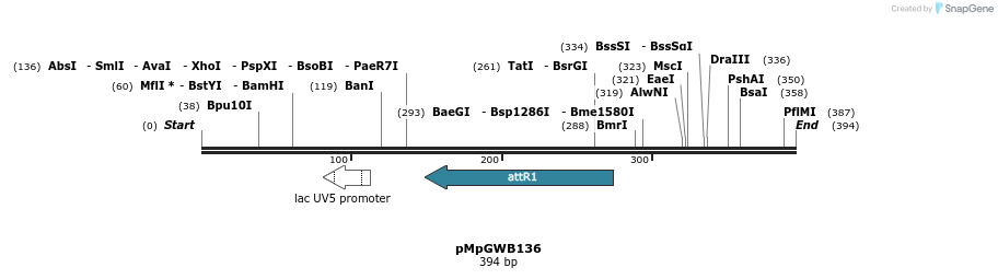 127971_map