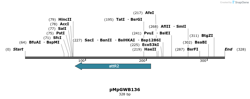 127972_map