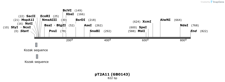 127975_map