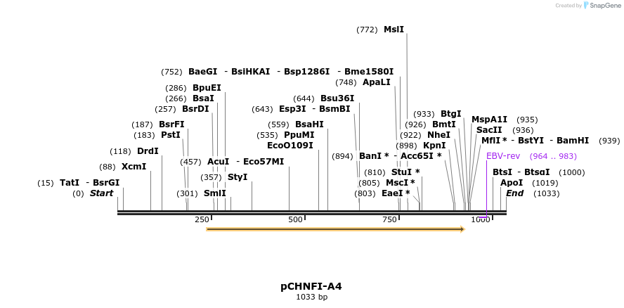 127978_map