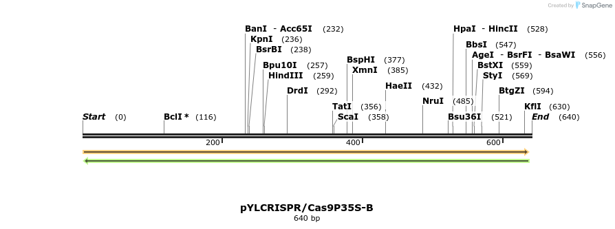 127984_map
