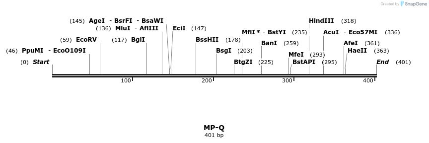 127986_map