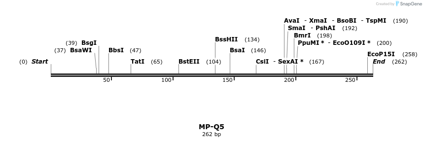 127987_map