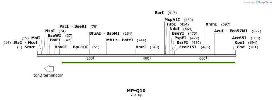 127988_map