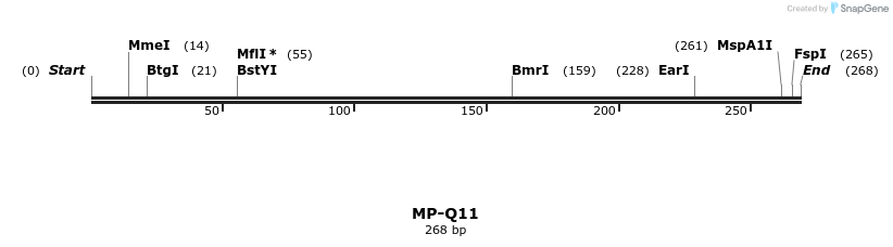 127989_map