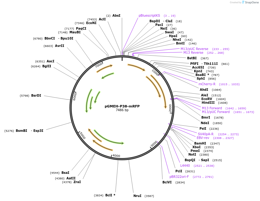 12799_map
