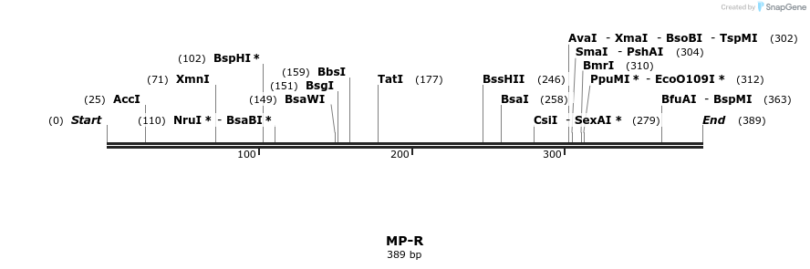 127991_map