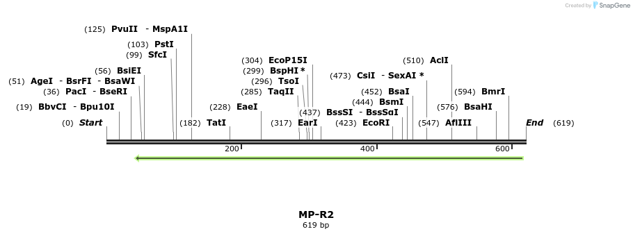 127993_map