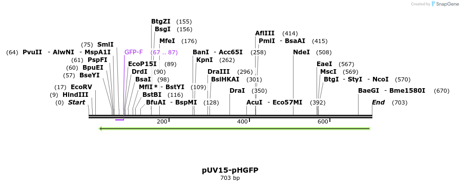 127994_map