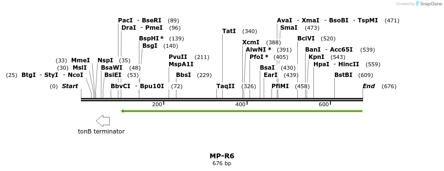 127995_map