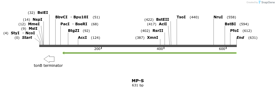 127996_map