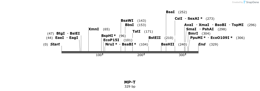 127998_map