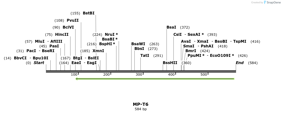 127999_map