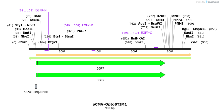 128002_map