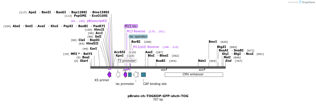 128004_map
