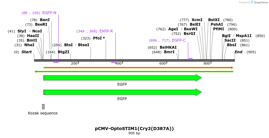 128007_map