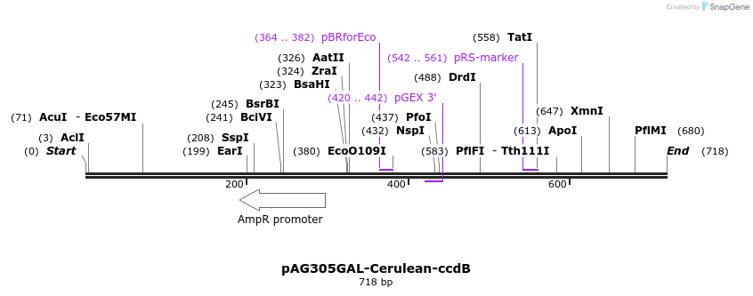 128011_map