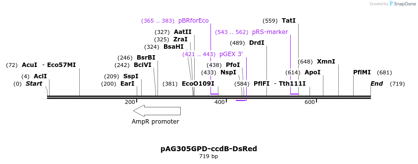 128013_map