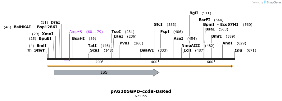 128014_map